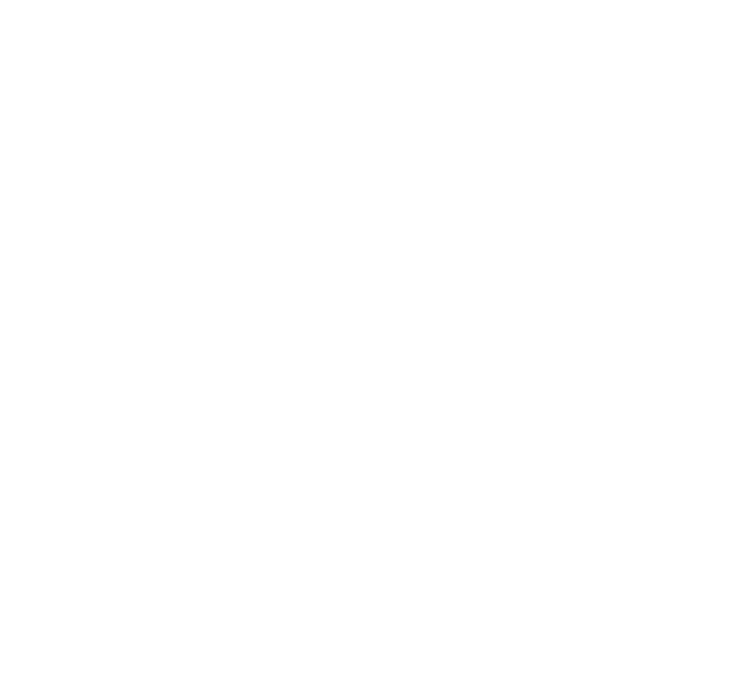 Palmetto HR Logo